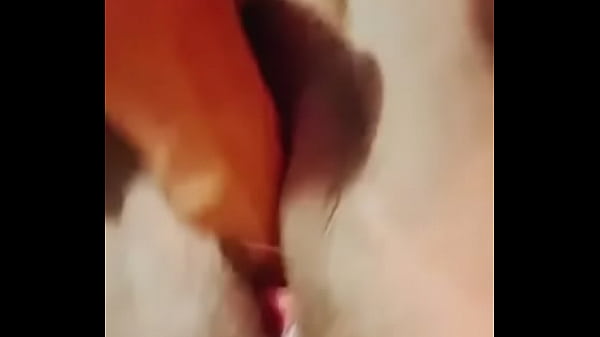 Play MP4 - Jovencita usa dildo