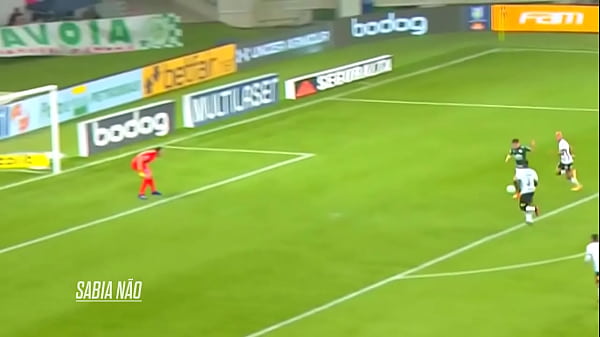 Palmeiras fudendo o_Corinthians sem_dó