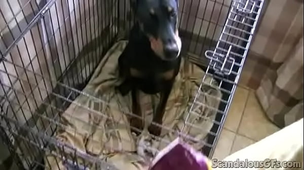 Play MP4 - Hot Babe Strips Naked And Sucks A Big Hard Cock