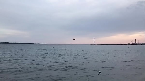 验证视频