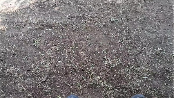 Paja debajo de un arbol 