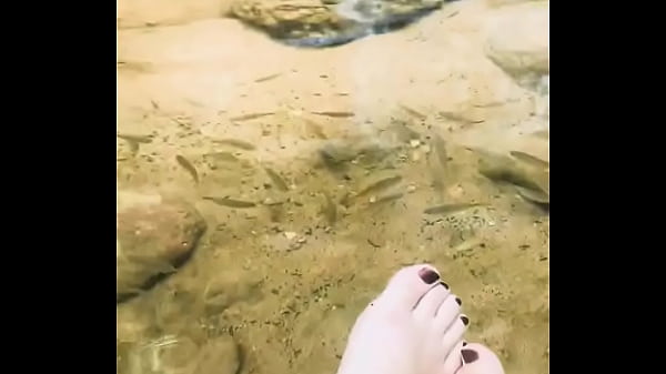 Pezinhos com peixinhos 