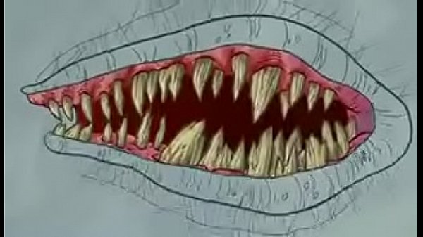 bob esponja