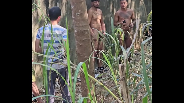 Play MP4 - orgy bareback interracial in the florest 01 31