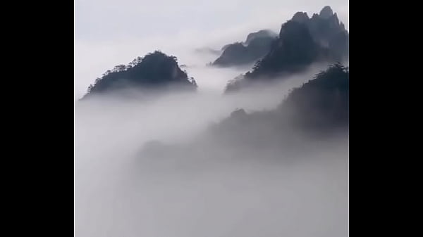 验证视频