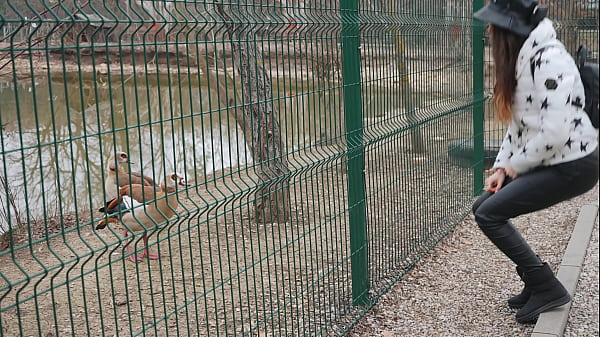 Car sex & hot tub delights adventure's best by laura quest s02e02 