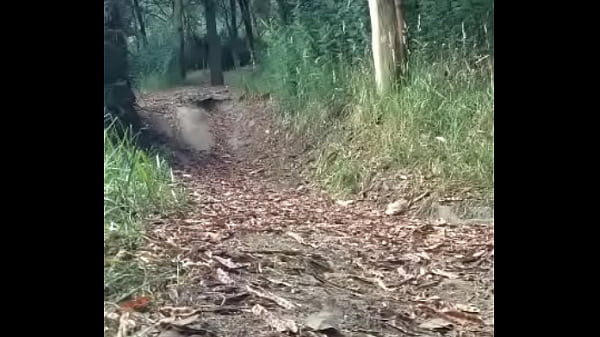 Mi paseo por le bosque parte primera 