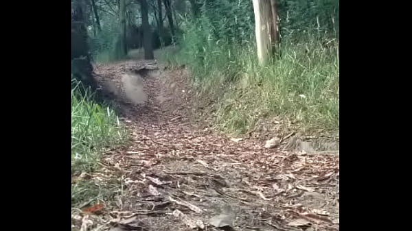 Nonton Mi Paseo Por Le Bosque Parte Primera ... thumbnail