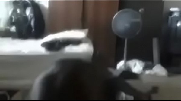 Nonton Busty Teen Deepthroats Dick! Rebecca thumbnail