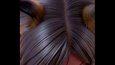 Silverfox teaser ai generated 