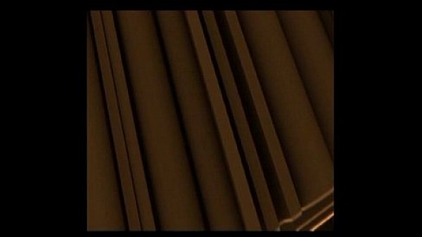 Kevin Van Hulsen y Alexandra R 