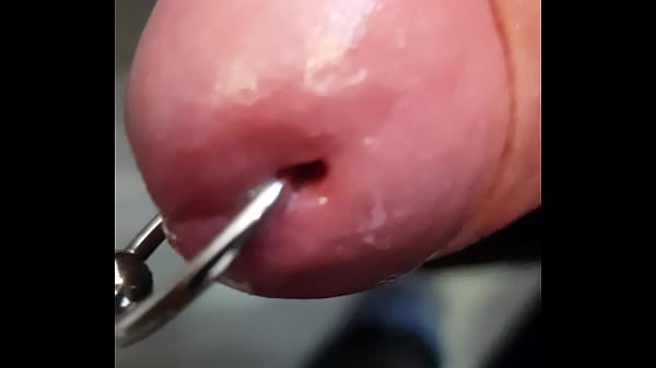 Nonton Pierced Dick thumbnail