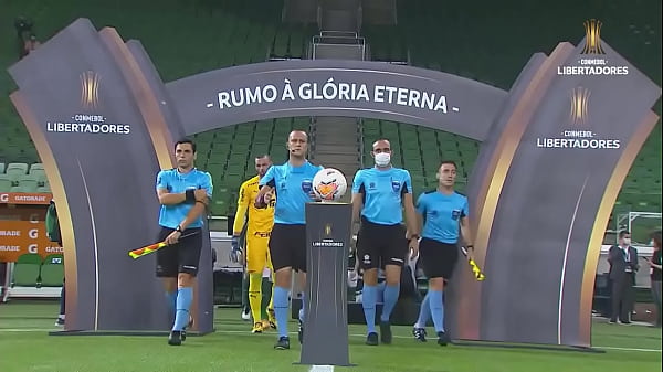 Nonton Palmeiras Le Da La V. De Su Vida A Delf&iacute;n En La Copa thumbnail