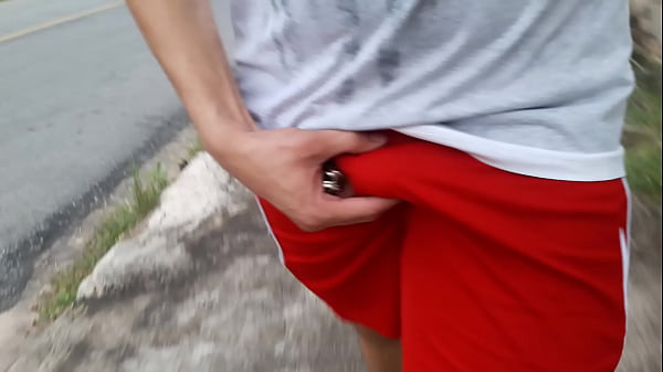 Gato atleticano voltando da academia. 