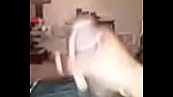 Nonton 20141215 104439 thumbnail