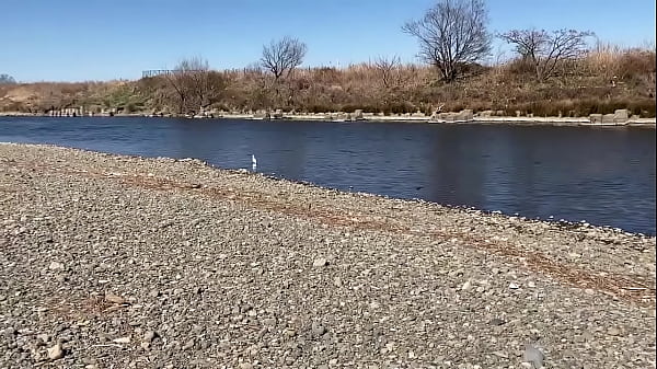 テストです、直ぐに削除します