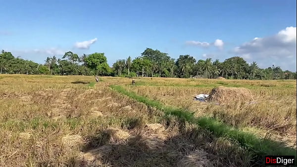 Nonton Cute Rice Picker Prefers To Be Paid With Sex For Her Work! thumbnail