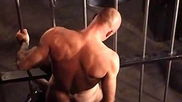 Hairy Stallions In Dungeons And Chains 