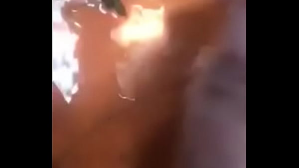 Chim to đẹp sạch sẽ