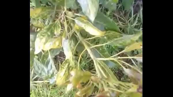 Play MP4 - Cuino&period;&period;&period;&period;&period;en el campo ke rica venida