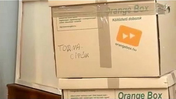 Nonton Delivery Bot Gets A Blowjob As Tip thumbnail