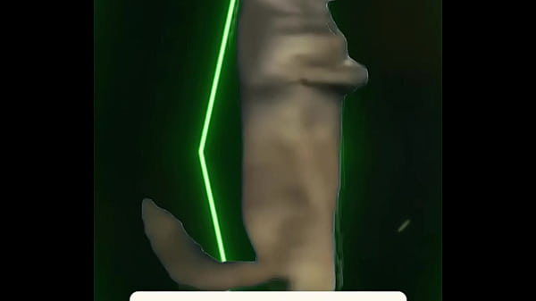 Cold beauty vs fierce energy &mdash; different styles same storm inside which side are you ️