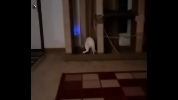 Nonton Could Be Idk thumbnail