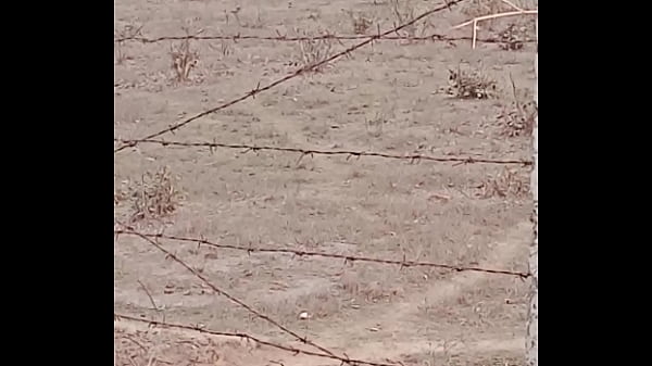 Xvideo thumbnail
