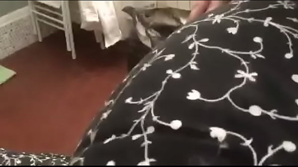 Play MP4 - received 1642639799351253