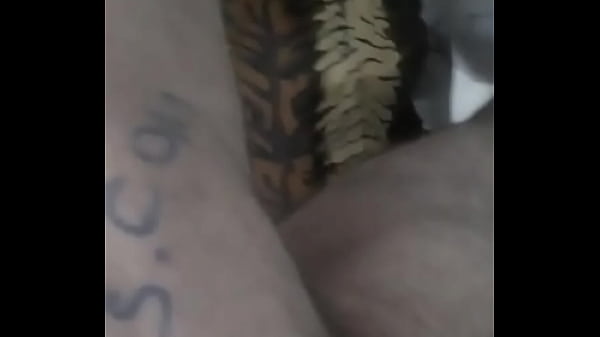 Gordinho gg exibindo