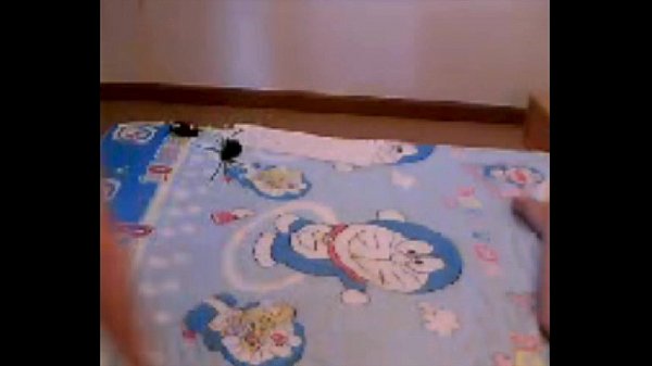 Thai girl hana สุทธินันท์ อนุภาพประเสริฐcamfrogID P polesbian3some V2