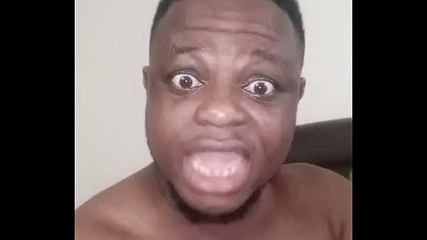 African chikito