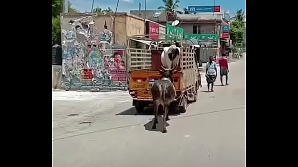 वेरीफ़िकेशन विडियो