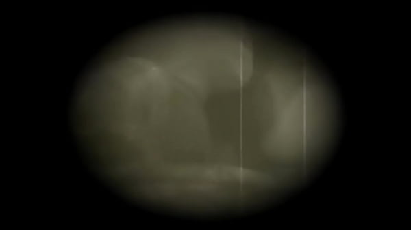 Casada chupando seu amante