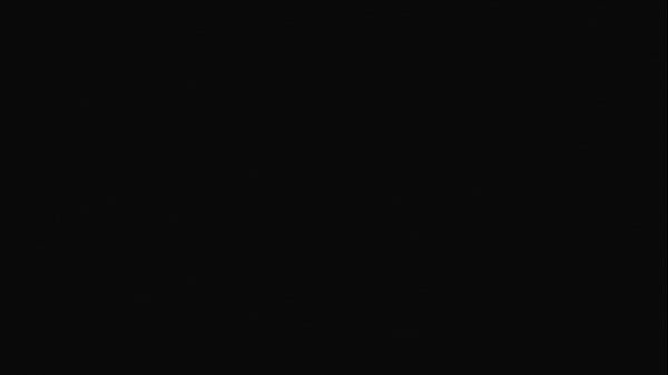 My Time At Portia #3