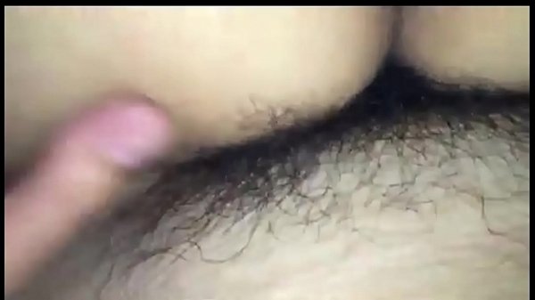 con cu nhỏ thích bỏ vào cáilọ của em