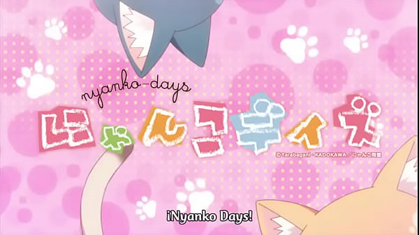Nyanko_Days Capitulo 1_Sub Español