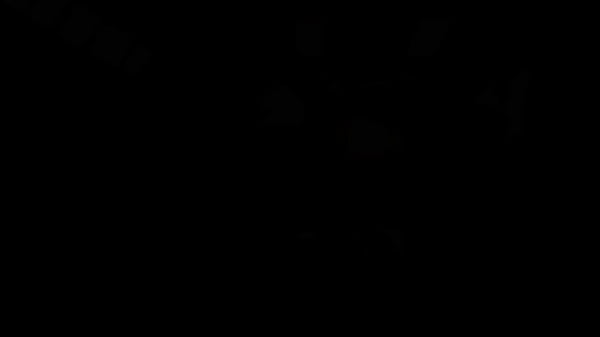 Nonton Alluring Teen Model Naked Close-up thumbnail