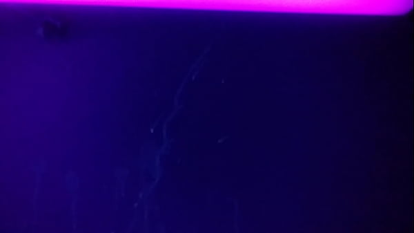 Play MP4 - Cumshot stains above bed under blacklight comment please