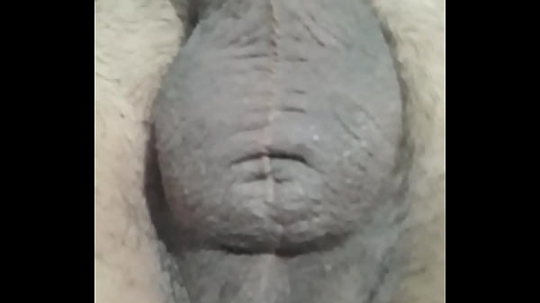 Tha skasoun ta arxidia mou