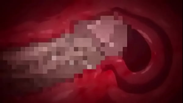 Cynthia and hiker Pokemon bergedit