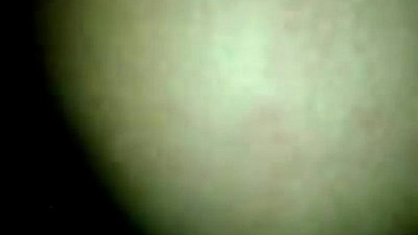 11183912 361226640752114 308581653 n