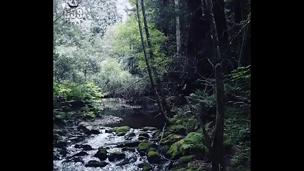 Ramirez featSarcophagus II