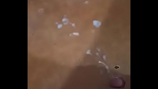 Lleg&oacute_ el lechero 2