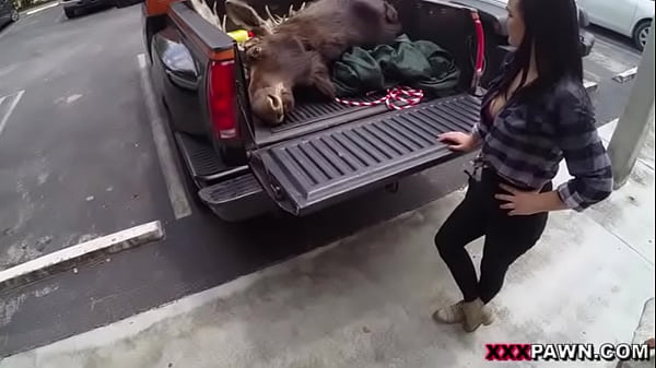 Play MP4 - Lesbians Pawn Their Asses&excl;