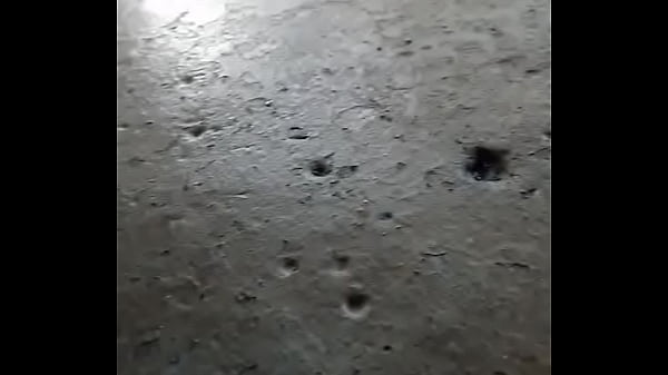 V&iacute_deo de verifica&ccedil_&atilde_o