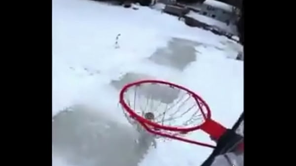 Publicly slammed by a large man meme 