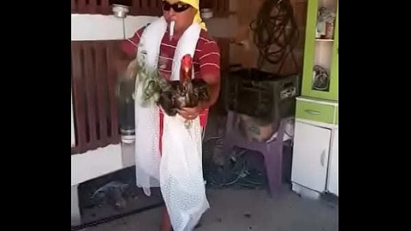 V&iacute_deo de verifica&ccedil_&atilde_o