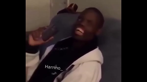 VID 40441123 114405 593