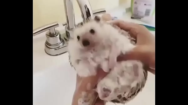 Nonton Видео для верификации thumbnail